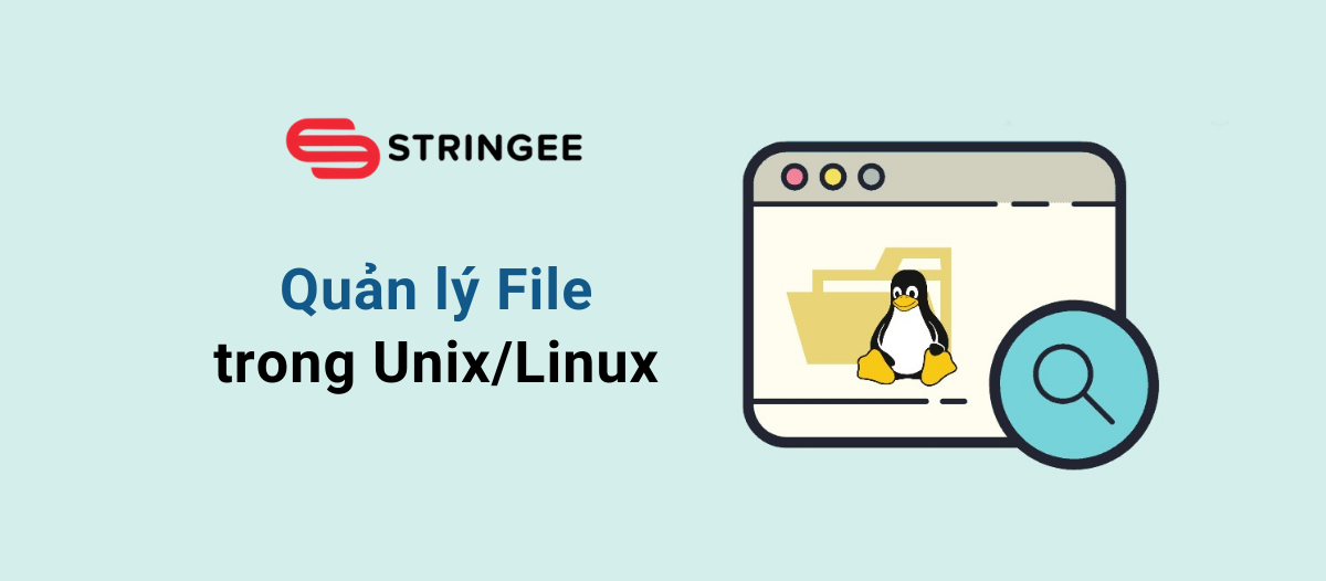 Tìm hiểu về cách quản lý file trong Unix/Linux
