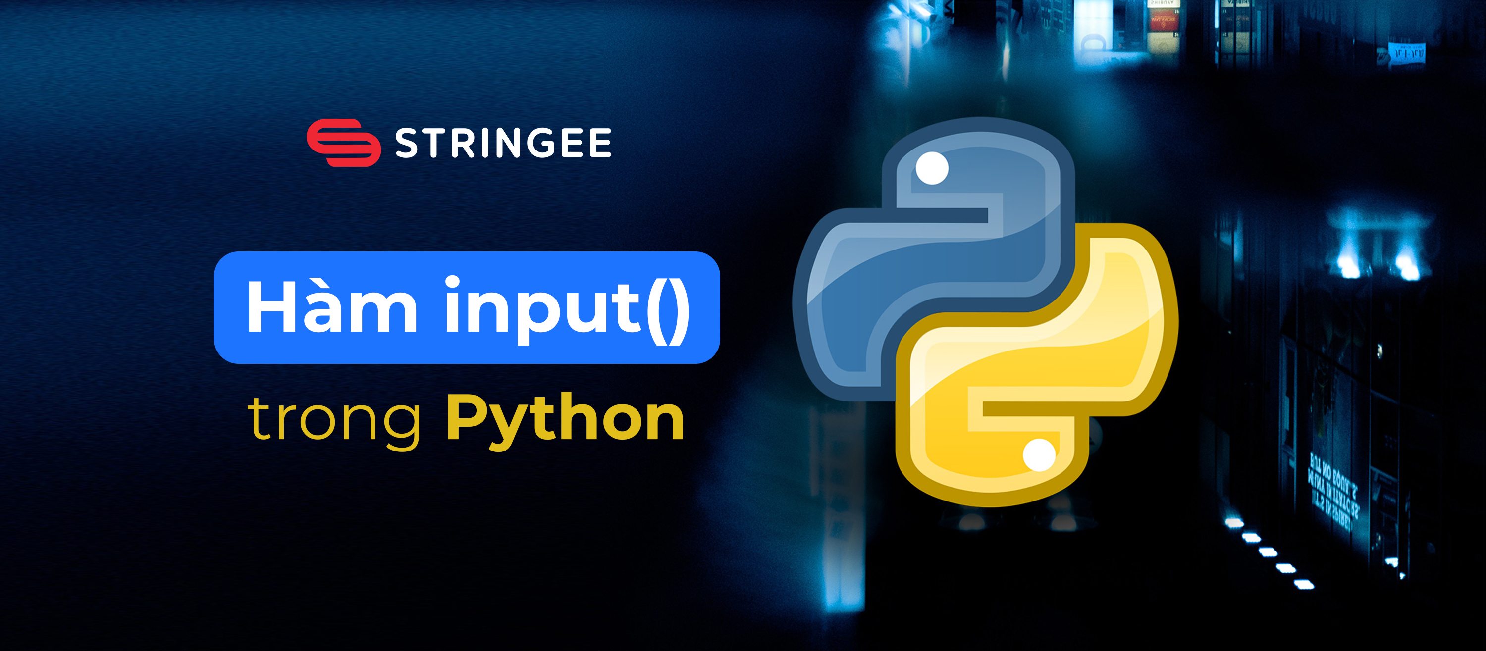 Hàm input() trong Python