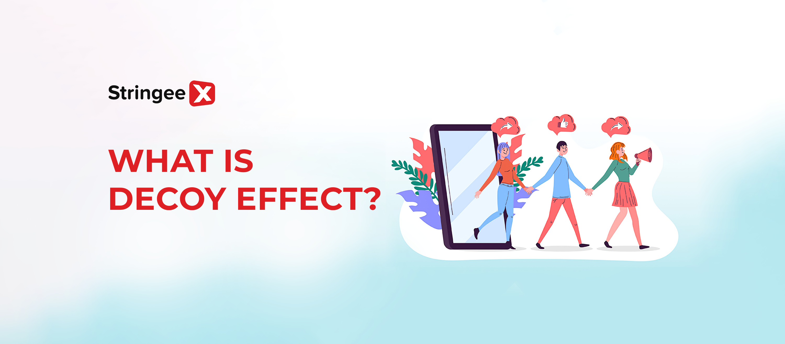 What is the Decoy Effect? Applying the decoy effect in Marketing