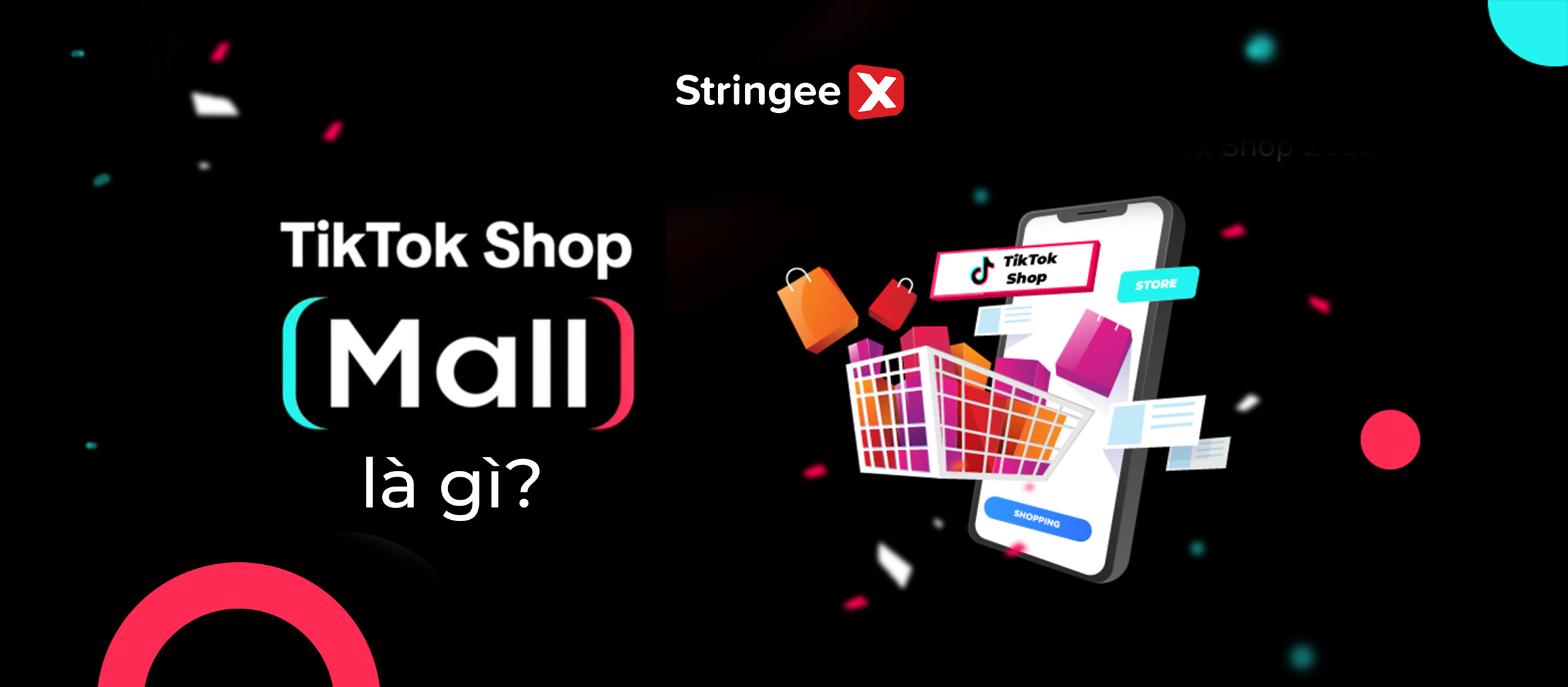 TikTok Shop Mall là gì? Cơ hội bứt phá doanh thu cho thương hiệu và nhà bán chính hãng